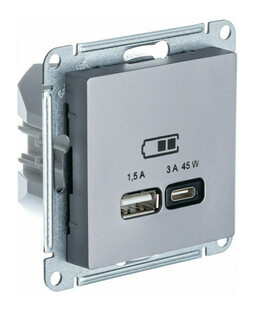 Розетка USB+USB type C Systeme Electric ATLASDESIGN, скрытый монтаж, сталь, ATN000929