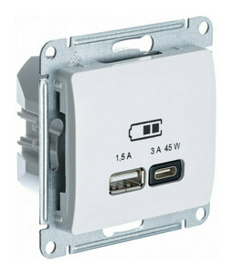 Розетка USB+USB type C Systeme Electric GLOSSA, скрытый монтаж, бежевый, GSL000229