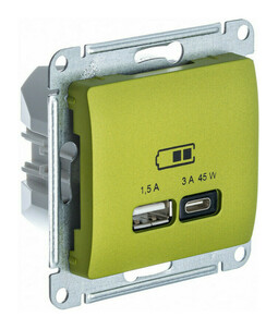 Розетка USB+USB type C Systeme Electric GLOSSA, скрытый монтаж, фисташковый, GSL001029