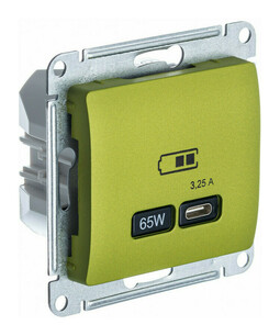 Розетка USB type C Systeme Electric GLOSSA, скрытый монтаж, фисташковый, GSL001027